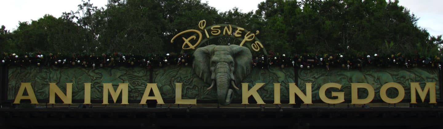 Disney’s Animal Kingdom FastPass+ Strategy, Tiers & Tips for 2022 - The