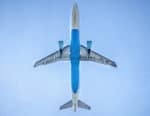 Airline Bumps