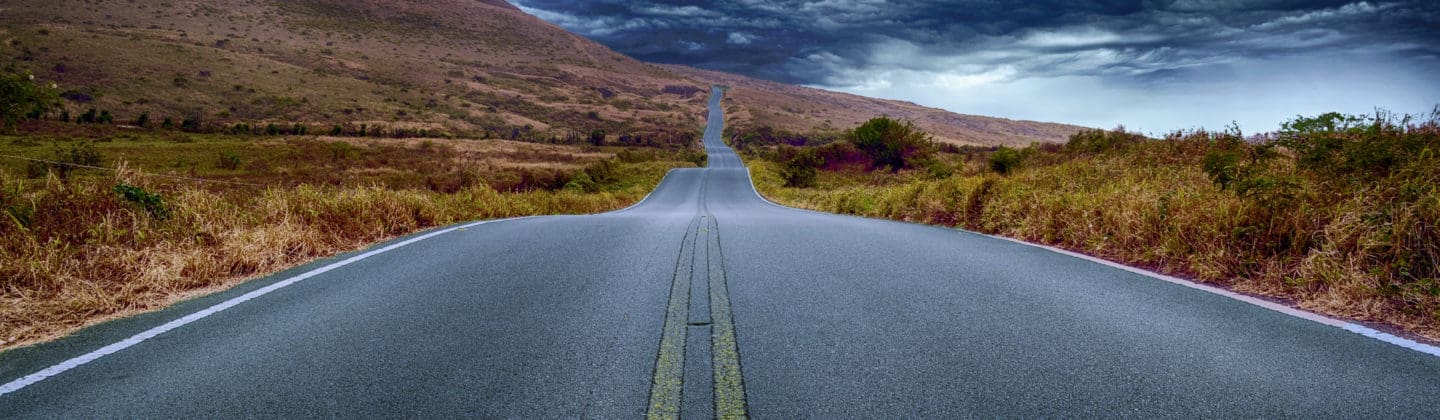 March 2021 Travel Survey