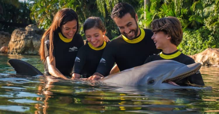 Swimming with Dolphins at Dolphin World