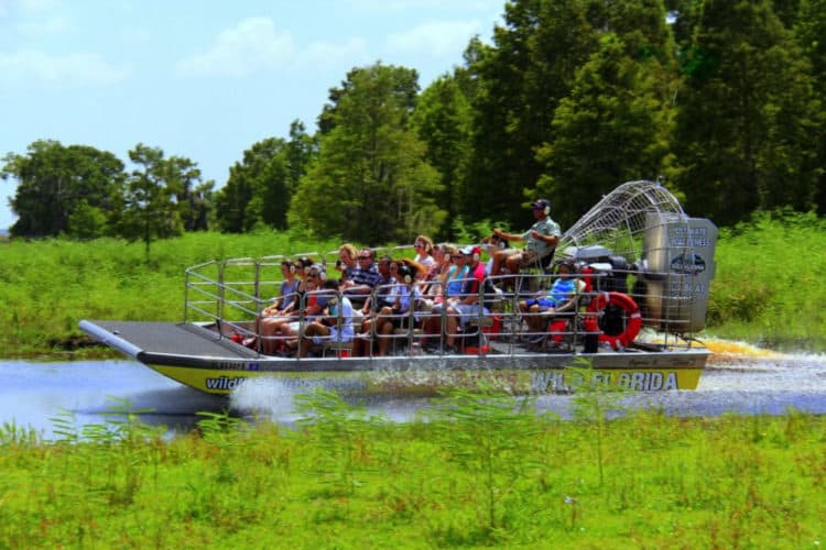 Everglades Fan-Boat Tour