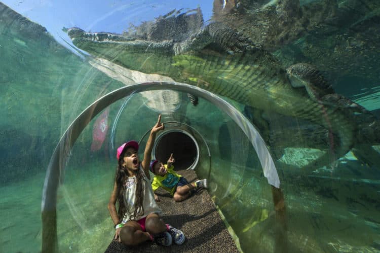 Kids at Zoo Miami