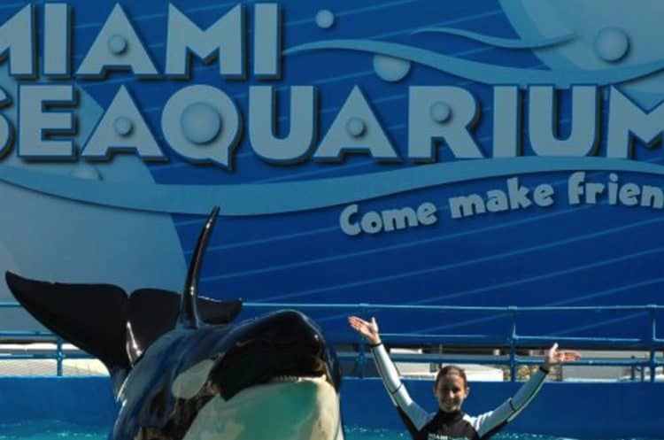 Miami Seaquarium