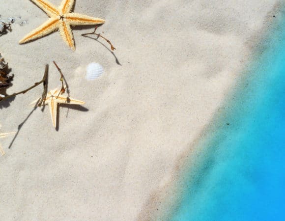 2022 Summer Travel Survey