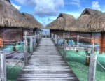 Best Hotel Credit Cards Upgrades Status