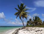 Best All-Inclusive Resorts Punta Cana
