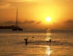 Best Sandals Resorts Jamaica