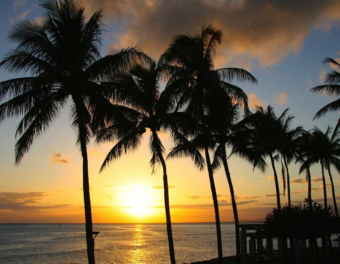5 Best Honolulu Airport Car Rental - Best Car Rental Companies Honolulu Airport