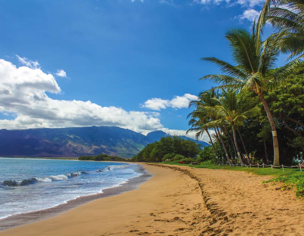 5 Best Maui Airport Car Rental Companies — Browse Tips on Renting a Car