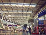 What to Do if Your Airline Cancels or Delays Flight - Refund and Compensation