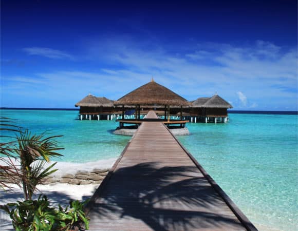 Summer Travel Survey 2023