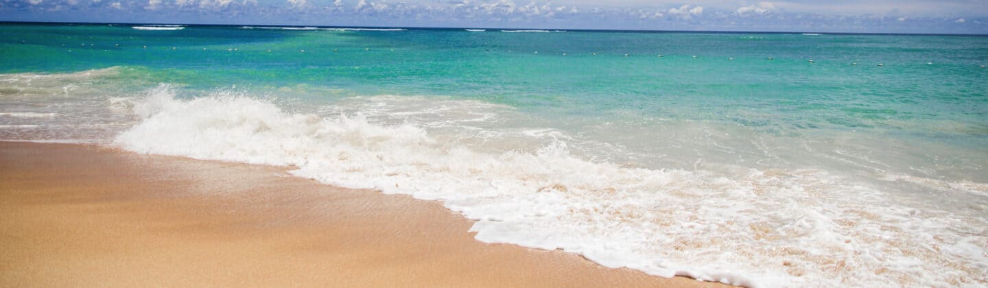 2023 Memorial Day Travel Survey