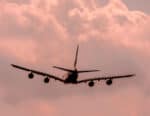Can I Bring Food on an Airplane?