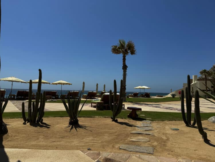 Waldorf Cabo The Beach Club